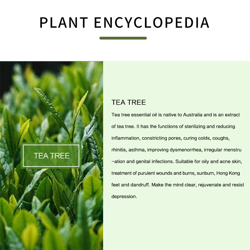 100% pure tea tree óleo essenc - Tea Tree Spot Treatment avaliação e preço